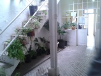 /album/fotogaleria/asasasa-jpg/