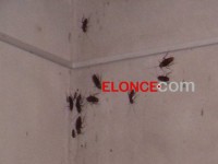 /album/direccion-municipal-de-la-mujer-antigua-/asasas-jpg1/